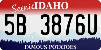 ID license plate 5B3876U