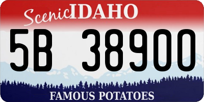 ID license plate 5B3890O