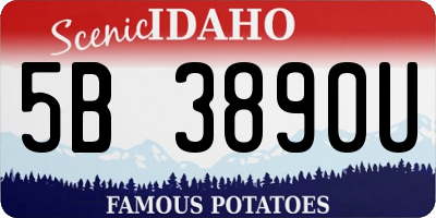 ID license plate 5B3890U