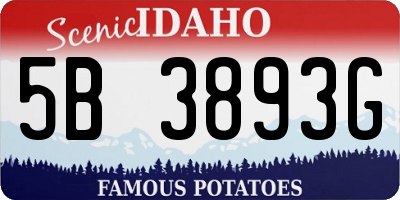 ID license plate 5B3893G