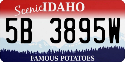 ID license plate 5B3895W