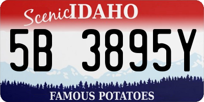 ID license plate 5B3895Y