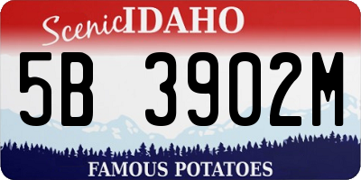 ID license plate 5B3902M