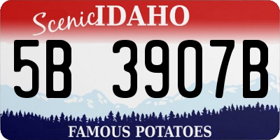ID license plate 5B3907B