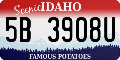 ID license plate 5B3908U