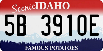 ID license plate 5B3910E