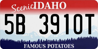 ID license plate 5B3910T