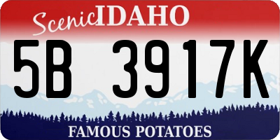 ID license plate 5B3917K