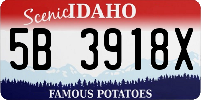 ID license plate 5B3918X
