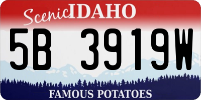 ID license plate 5B3919W