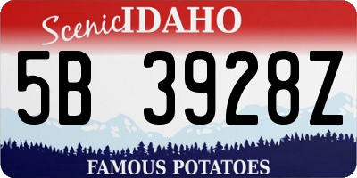 ID license plate 5B3928Z