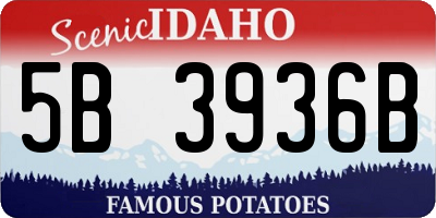 ID license plate 5B3936B