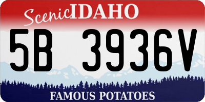 ID license plate 5B3936V