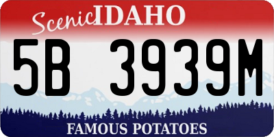 ID license plate 5B3939M