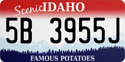 ID license plate 5B3955J