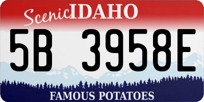 ID license plate 5B3958E