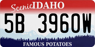 ID license plate 5B3960W