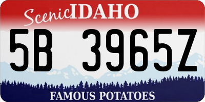 ID license plate 5B3965Z
