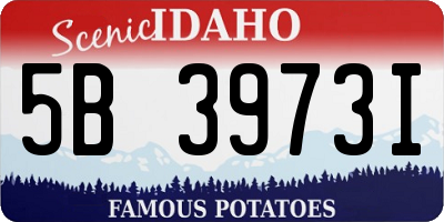 ID license plate 5B3973I