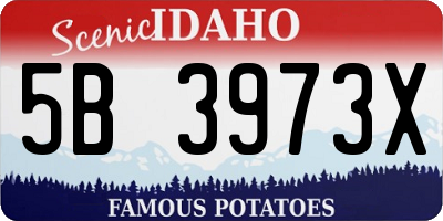 ID license plate 5B3973X
