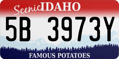 ID license plate 5B3973Y