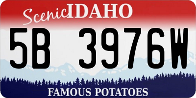 ID license plate 5B3976W
