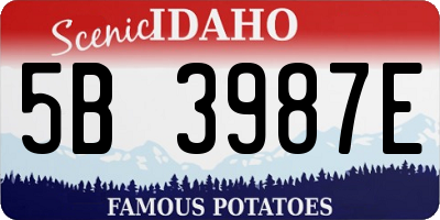 ID license plate 5B3987E