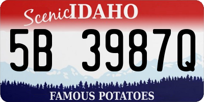 ID license plate 5B3987Q