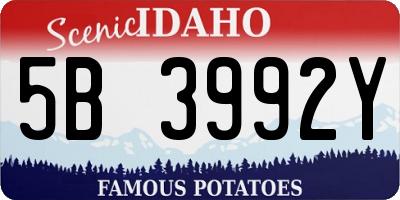 ID license plate 5B3992Y