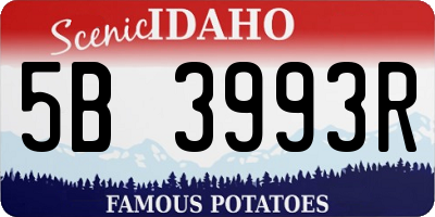 ID license plate 5B3993R