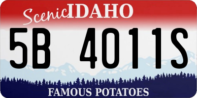 ID license plate 5B4011S