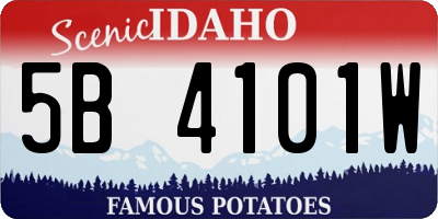 ID license plate 5B4101W