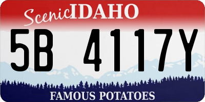 ID license plate 5B4117Y