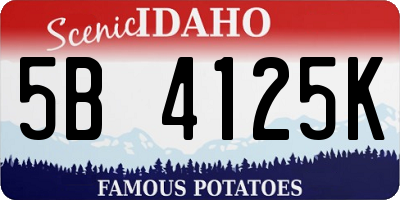ID license plate 5B4125K