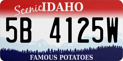 ID license plate 5B4125W