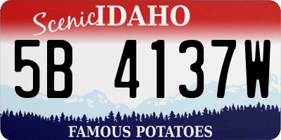 ID license plate 5B4137W