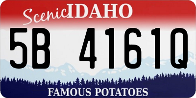 ID license plate 5B4161Q