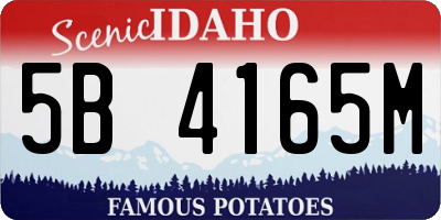 ID license plate 5B4165M
