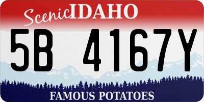 ID license plate 5B4167Y