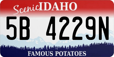 ID license plate 5B4229N
