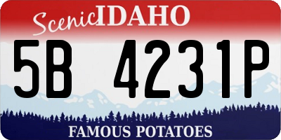 ID license plate 5B4231P