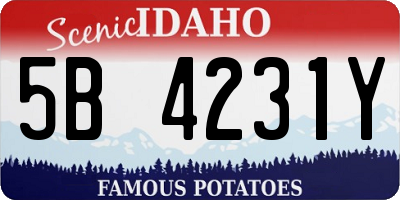 ID license plate 5B4231Y