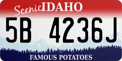ID license plate 5B4236J