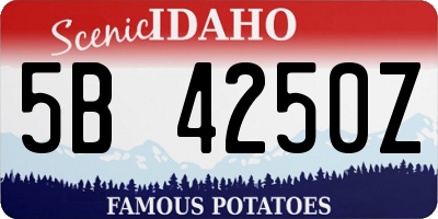 ID license plate 5B4250Z