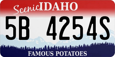 ID license plate 5B4254S