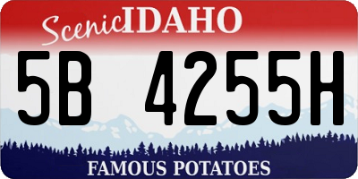 ID license plate 5B4255H
