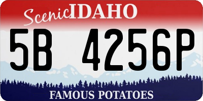 ID license plate 5B4256P