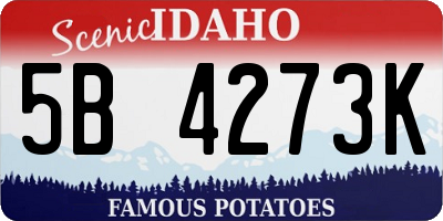 ID license plate 5B4273K