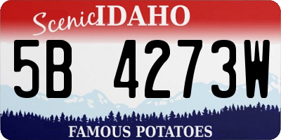 ID license plate 5B4273W