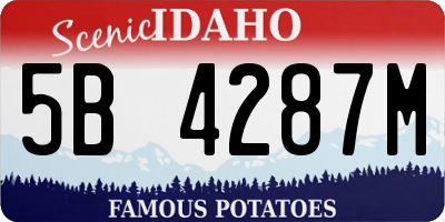 ID license plate 5B4287M